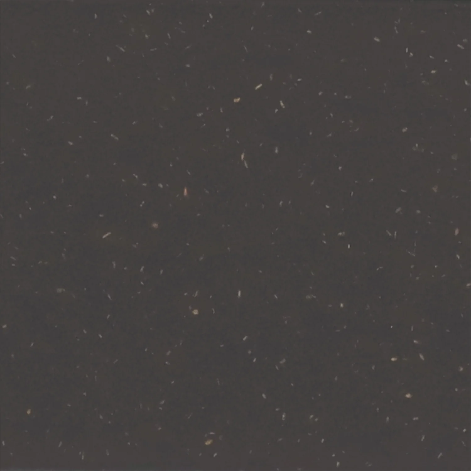 Thumbnail 41