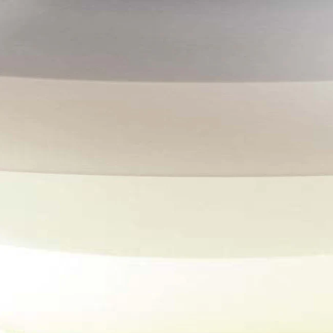 Thumbnail 29