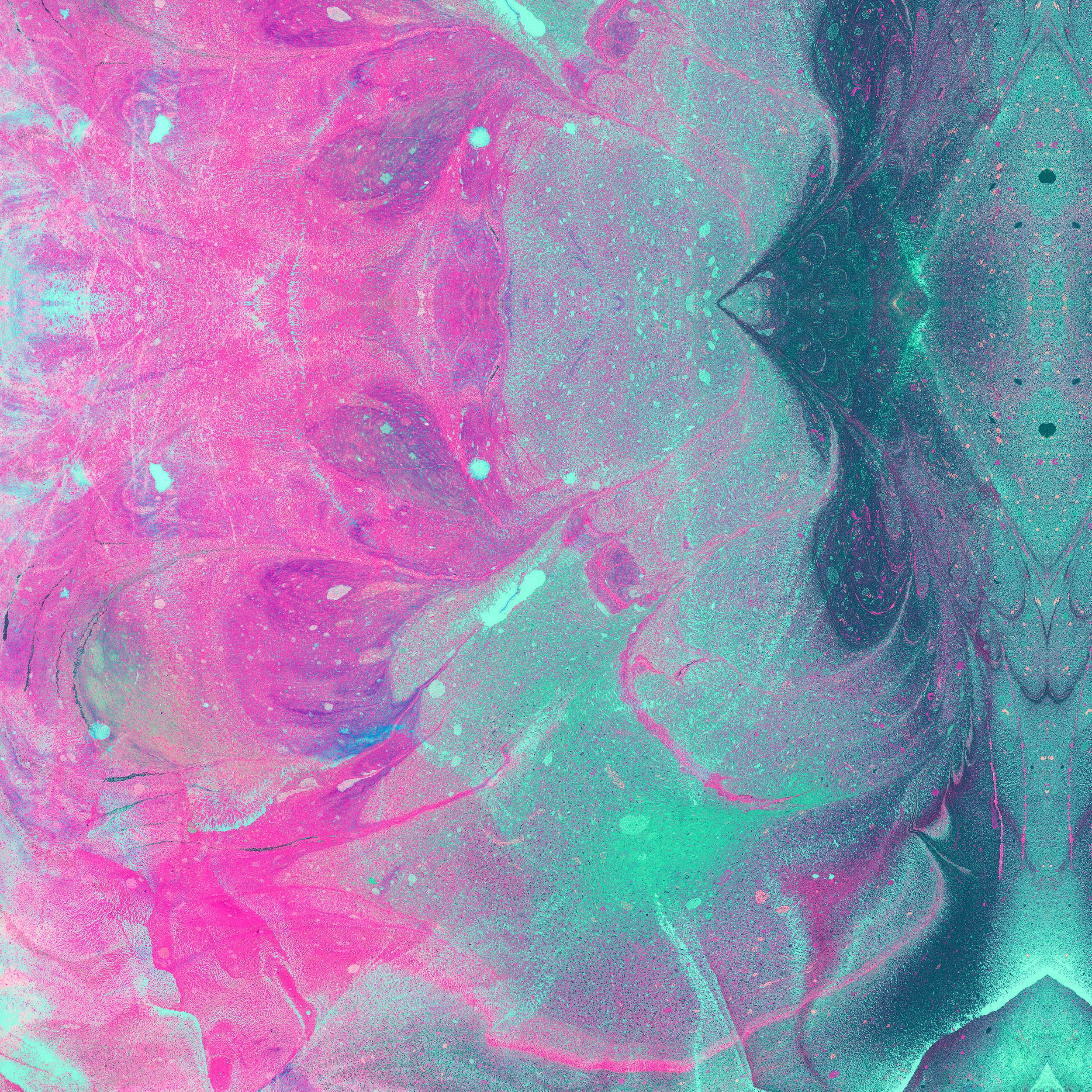 Thumbnail 13