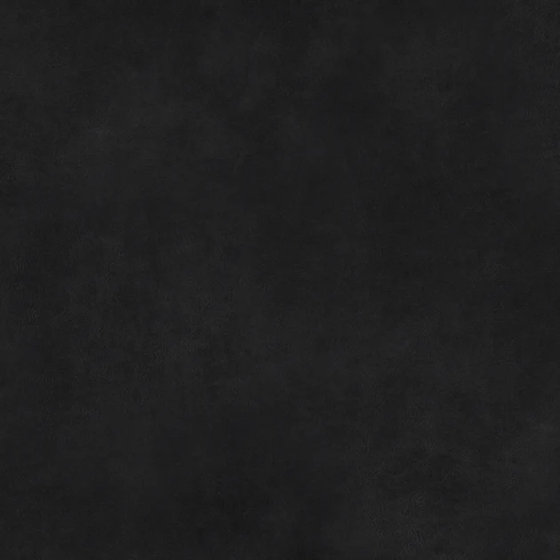 Thumbnail 19